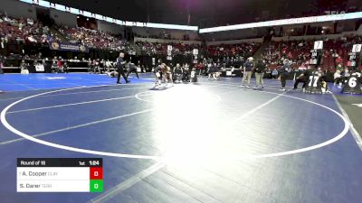 110 lbs Round Of 16 - Abbi Cooper, Clayton Valley vs Sophia Darer, Terra Nova