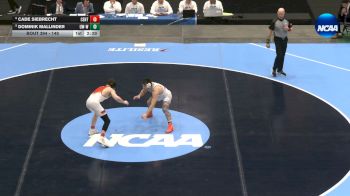 149 lbs 1st Place Match - Dominik Mallinder, Wis.-Whitewater vs Cade Siebrecht, Central (IA)