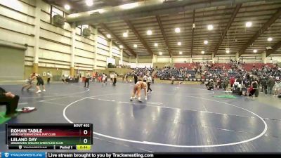 250 lbs Semifinal - Roman Tabile, Askeo International Mat Club vs Leland Day, Grandview Wolves Wrestling Club