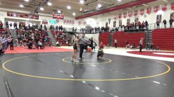 125 lbs Semifinal - Natalie Leitzen, Dubuque Hempstead vs Alaina Carpenter, Clinton