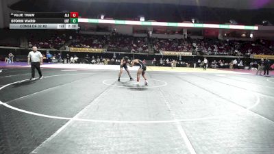 133 lbs Consi Of 32 #2 - Klue Thaw, Albany vs Storm Ward, North Florida