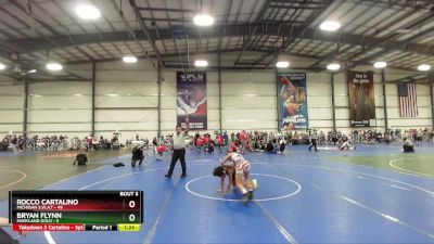 96 lbs Rd# 2 10:30am Friday - Rocco Cartalino, Michigan S.W.A.T vs Bryan Flynn, Maryland GOLD