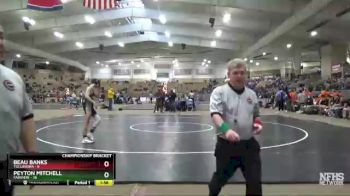 132 lbs Quarterfinals (8 Team) - Peyton Mitchell, Fairview vs Beau Banks, Tullahoma