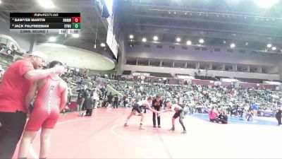 110 lbs Cons. Round 1 - Jack Palfreeman, Springdale Youth Wrestling Club vs Sawyer Martin, Bauxite Mini Miners Wrestling