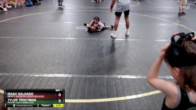 38 lbs Quarterfinal - Tyler Troutman, Pelion Youth Wrestling vs Isaac Salgado, Mighty Warriors Wrestling Acad