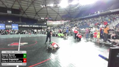 53 lbs Cons. Rd Of 16 - Damian Barrett, Viper Wrestling Club vs Kaeson Koppelman, Orting Jr. Cardinals Wrestling