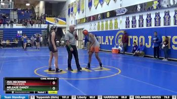 145 lbs Cons. Round 4 - Nelease Danzy, DELAWARE HAYES vs Ava Heckman, WESTERVILLE NORTH