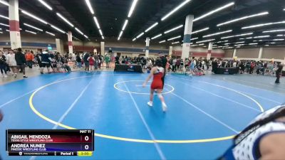 95 lbs Semifinal - Abigail Mendoza, Texas Style Wrestling Club vs Andrea Nunez, Finesse Wrestling Club