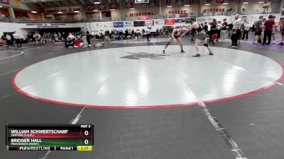 165 lbs Cons. Round 7 - Bridger Hall, Providence (Mont.) vs William Schwertscharf, Simpson (Calif.)