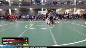 95 lbs Quarterfinal - Nathan Skolnik, NOCA vs Bryan Chaney, HSWA