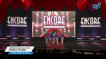 Amistad Eagles All Stars - PURPLE STORM [2024 L2 Junior - D2 - Small - B Day 2] 2024 Encore Grand Nationals