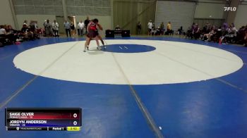 125 lbs Round 2 (6 Team) - Saige Olver, Pennsylvania vs Jordyn Anderson, Virginia