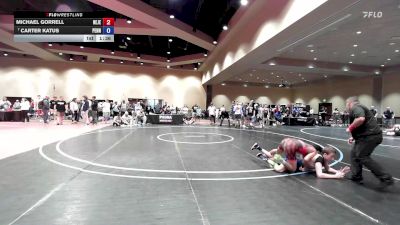 138 lbs Cons. Round 4 - Michael Gorrell, New Jersey vs Carter Katus, Pennsylvania