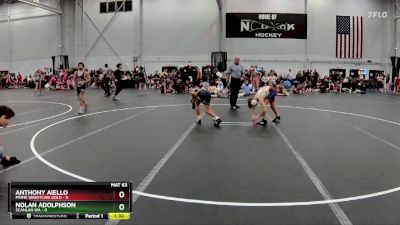 98 lbs Round 4 (8 Team) - Anthony Aiello, Prime Wrestling Gold vs Nolan Adolphson, Scanlan WA