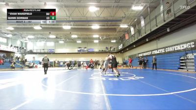197 lbs Champ. Round 1 - Quinn Gorman, Lake Erie vs Evan Wakefield, Davenport