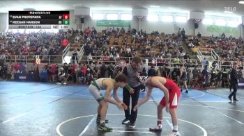 134 lbs Quarterfinal - Keegan Hanson, Hamilton Badin High School vs Evan Protopapa, Austintown Fitch