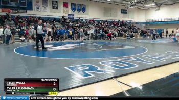 138 lbs Quarterfinal - Tyler Wells, Princeton vs Tyler Laudenbach, Apple Valley
