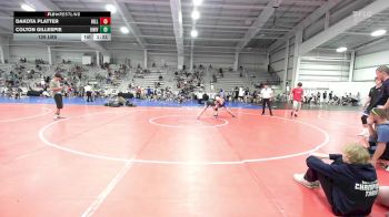 126 lbs Rr Rnd 3 - Dakota Platter, Hillbilly Hammers vs Colton Gillespie, University Hawks Wrestling Club