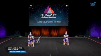 Amistad Eagles All Stars - HAIL STORM [2025 L3 Junior - Small Prelims] 2025 The D2 Summit