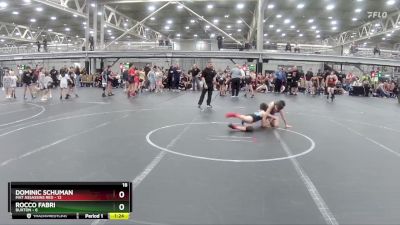 84 lbs Round 2 (4 Team) - Dominic Schuman, Mat Assassins Red vs Rocco Fabri, Buxton