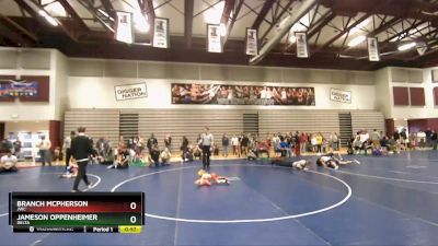 37 lbs Quarterfinal - Jameson Oppenheimer, Delta vs Branch McPherson, JWC