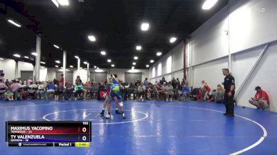 102 lbs Round 3 (4 Team) - Maximus Yacopino, Tennessee vs Ty Valenzuela, Georgia