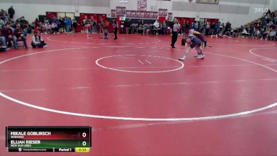 133 lbs Cons. Round 3 - Mikale Goblirsch, Wabasso vs Elijah Rieser, New Ulm Area