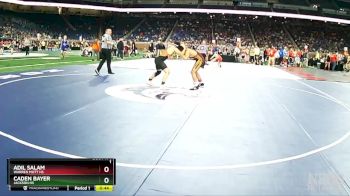 D1-138 lbs Cons. Round 1 - Adil Salam, Warren Mott HS vs Caden Bayer, Jackson HS