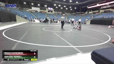 58 lbs Round 4 - Briggs Dannenberg, Clearwater Youth Wrestling Clu vs Hadleigh Wendell, Team Lightning Wrestling Club