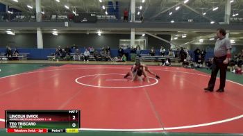 96 lbs Round 1 (16 Team) - Lincoln Swick, Askren Wrestling Academy 1 vs Teo Triscaro, Terps