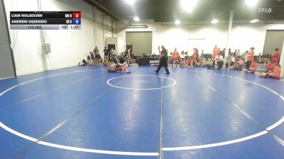 110 lbs Liam Walbourn, Missouri Blue vs Andrew Uszenski, New York Gold