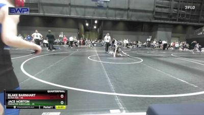 61 lbs Quarterfinal - Jace Norton, Predator Wrestling vs Blake Barnhart, Black Fox