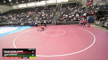 141 lbs Champ. Round 2 - Gage Bateman, Lehi vs Dylan Moore-Morris, Springville High School