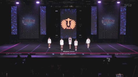 Pinellas Park T-Birds - Pinellas Park T-Birds [2025 Peewee Day 1] 2025 All Out Grand Nationals