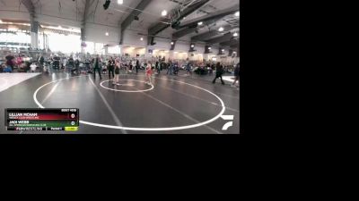 98 lbs Quarterfinal - Jadi Webb, All American Wrestling Club vs Lillian McHam, Wesley Club Wrestling