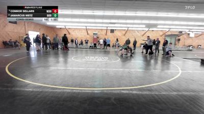 152 lbs Consolation - Connor Sellars, Wernersville vs Jamarcus Metz, Harrisburg