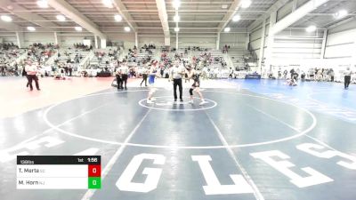 138 lbs Round Of 64 - Tanner Merta, SC vs Michael Horn, NJ