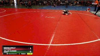 160 lbs Semifinal - Kellen Klinger, Waseca vs Destan Skelly, Grand Rapids