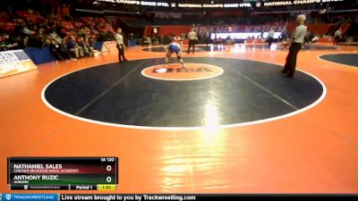 1A 120 lbs Champ. Round 1 - Anthony Ruzic, Auburn vs Nathaniel Sales, Chicago (Rickover Naval Academy)