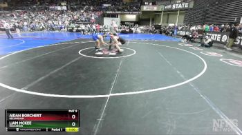 2A 126 lbs Cons. Round 1 - Liam McKee, Hockinson vs Aidan Borchert, Bellingham