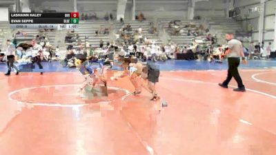 132 lbs Rr Rnd 1 - Lashawn Haley, Division-1 Training Center - HSB vs Evan Seppe, BlueWave Beast - HSB