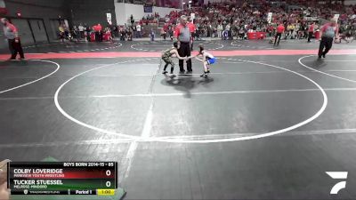 85 lbs Quarterfinal - Colby Loveridge, Parkview Youth Wrestling vs Tucker Stuessel, Melrose-Mindoro