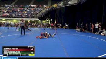 85 lbs Semifinal - Harper Hamacher, Pursuit Wrestling Minnesota vs Connor Bischof, MN Elite