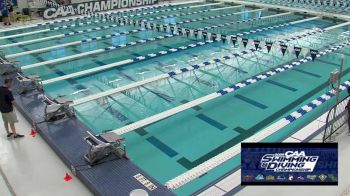 Replay: CAA Swimming & Diving Championship | Mar 1 @ 10 AM