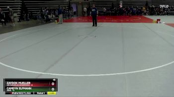 45 lbs Semis (4 Team) - Zaydon Mueller, LSH (LeSueur/Henderson) vs Camdyn Elfmann, ANML