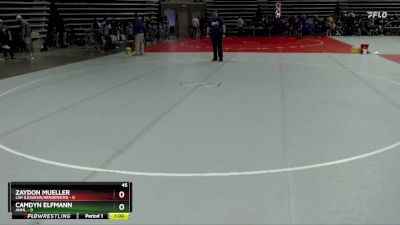 45 lbs Semis (4 Team) - Zaydon Mueller, LSH (LeSueur/Henderson) vs Camdyn Elfmann, ANML
