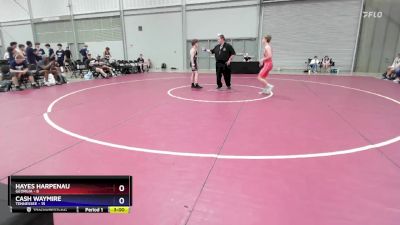126 lbs Placement Matches (8 Team) - Hayes Harpenau, Georgia vs Cash Waymire, Tennessee