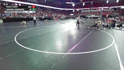 132 lbs Cons. Quarters - Ezequiel Dominguez, Kenosha Indian Trail vs Bailey Casey, Menomonie