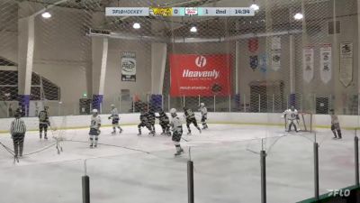 2023 South Carolina Stingrays vs Savannah Ghost Pirates - Videos - FloHockey