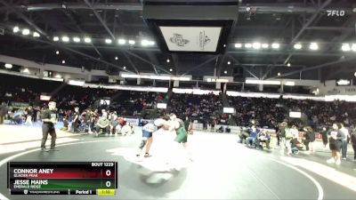 285 lbs Semifinal - Connor Aney, Glacier Peak vs Jesse Mains, Emerald Ridge